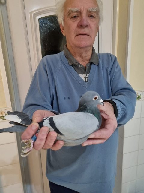 Graham Burton 29 11 21