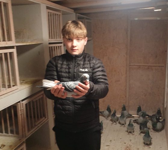 riley newall 16 12 21