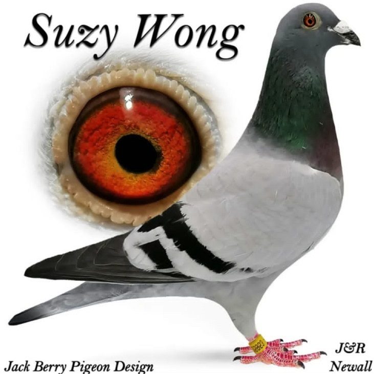 suzy wong 16 12 21