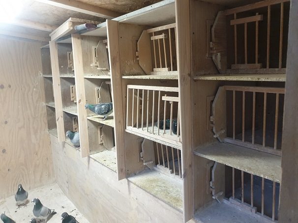 wh cocks section 16 12 21