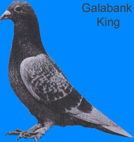 Galabank Prince 1st SNFC Nantes 1952 see text 2