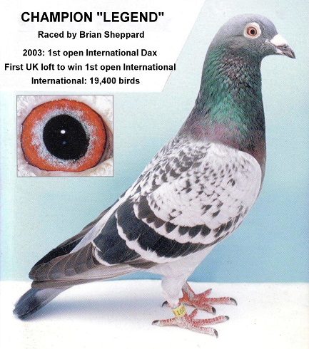 31C 24 03 22