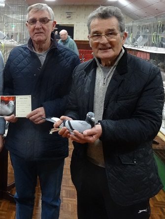 Shenton Brothers Norman Ron Old Cocks winners plus Best Opposit Sex z04 07 22