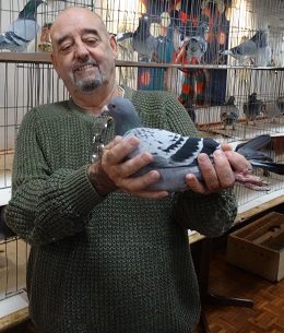Dave Willis. 18 12 22