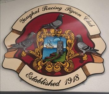 The Youghal pigeon club 3 16 12 22