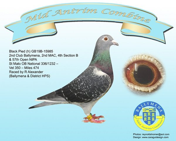 GB19B 15985 10x8 copy 30 01 23