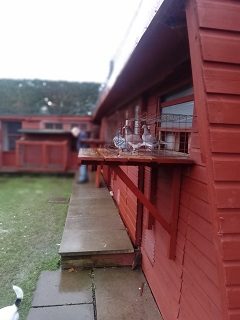 IMG 20221218 WA0002 18 01 23