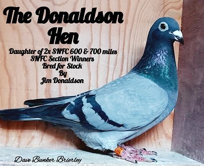 The Donaldson Hen by Dave Bunker Brierley