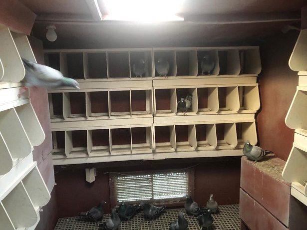 View inside YB loft 18 01 23