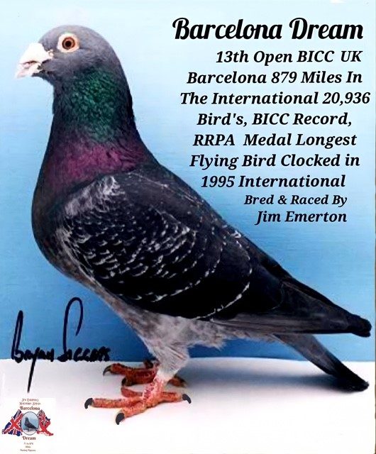 Jim Emertons Bracelona Dream