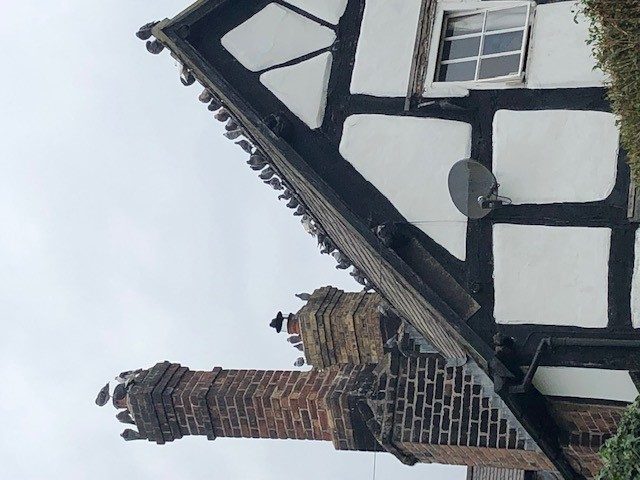 The birds on the roof top