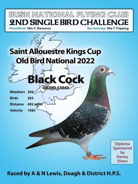 lewis 2nd Single Bird 13 03 23