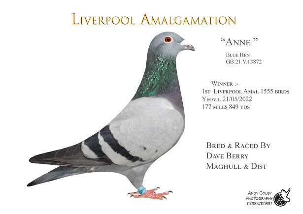 IMG 20230309 WA0037 19 04 23
