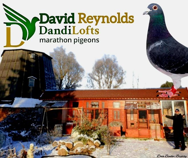 David Reynolds Story by Dave Bunker Brierley - 03-05-23