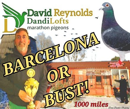 David Reynolds - Distance Man of Distinction with Jim Emerton - 13-07-23