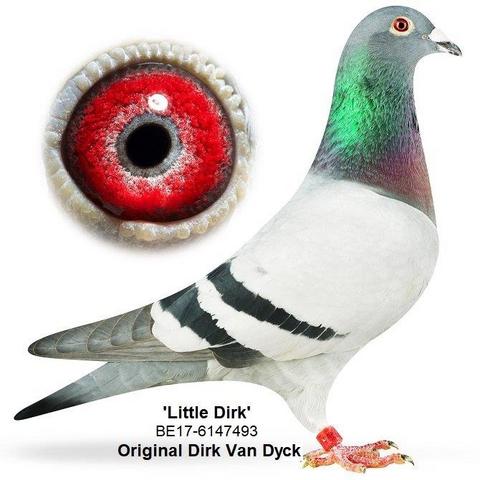 little dirk 18 07 23z
