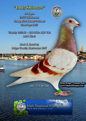 Bolger Bird 1st bOpen 09 10 23