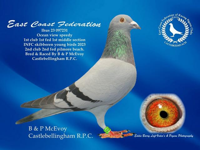 McEvoy bird 09 10 23