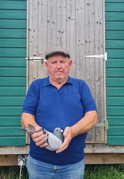 Norman Maginty 24 04 24x