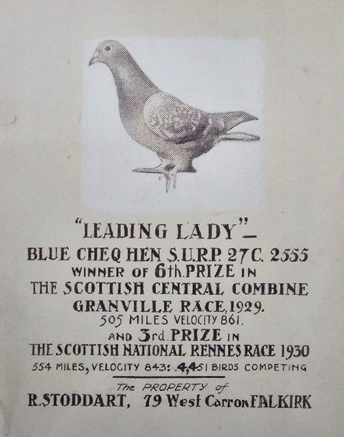 Leading Lady 28 05 24x