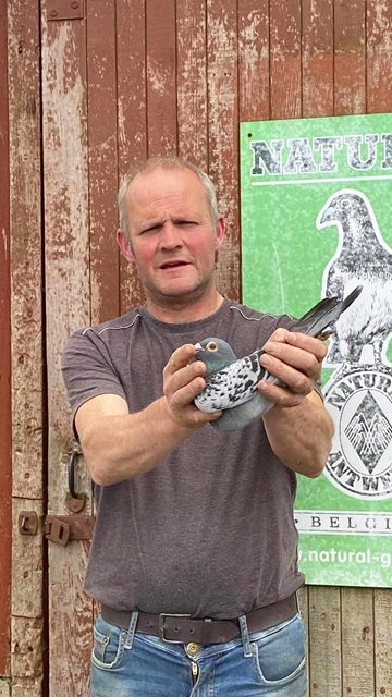 Donnelly 15 08 24a