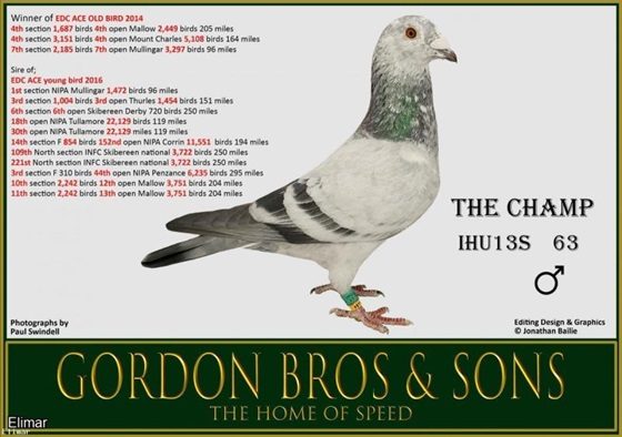 GORDON BROS THE CHAMP 08 08 24a