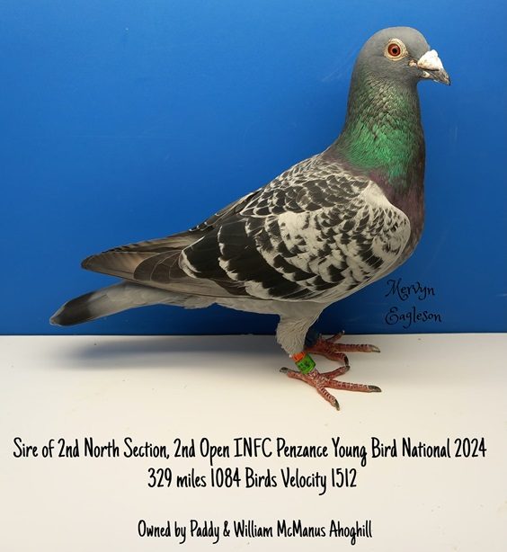 sire2nd Open 01 10 24a