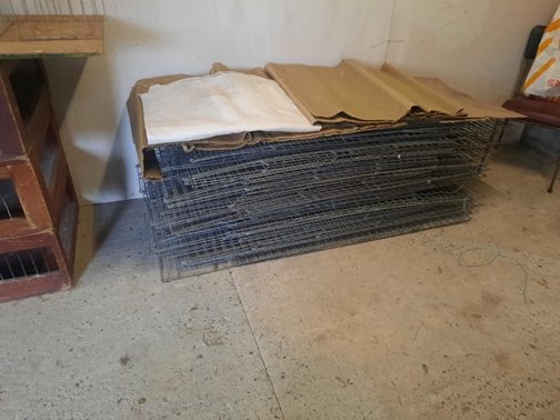 Club Pens for sale see text 19 11 24a