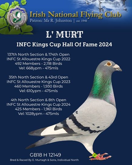 Murtagh bird 18 12 24A