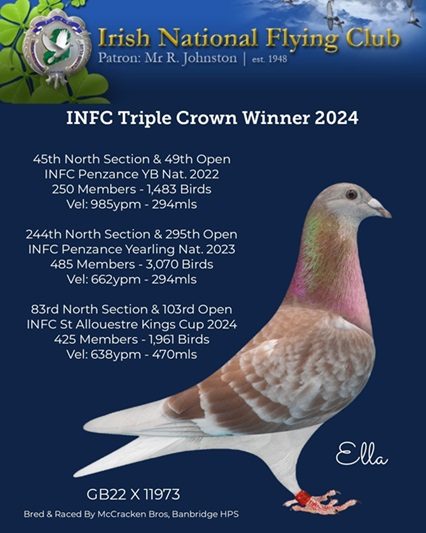Triple Crown bird 18 12 24A