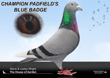 BLUE BADGE 27 01 25b