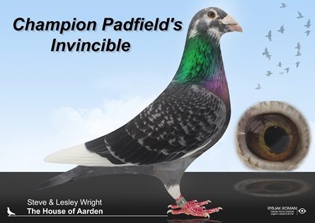 Invincible 27 01 25b
