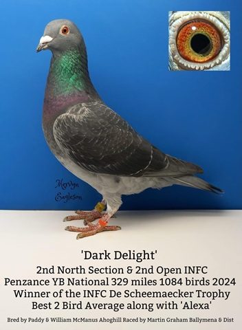 Dark Delight 18 03 25a