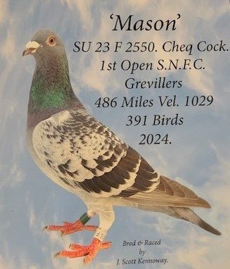 Mason see text 27 03 25b