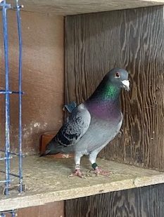 IMG 0864 13 05 25a