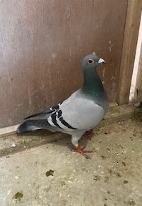 IMG 0867 13 05 25a