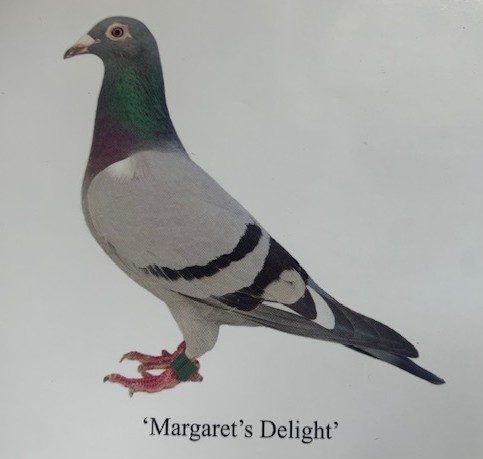 Margarets Delight 06 05 25a