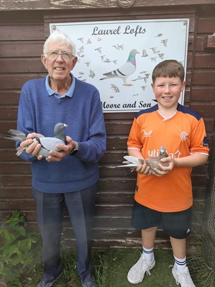 W R Moore Son Ballyclare District 1s 2nd Winners. Hunter is holding the Winner his own bird a whole 3 seconds in front of the blue one from Bude. 24 06 25C