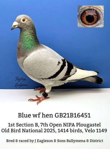 Winner Eagleson 22 07 25b