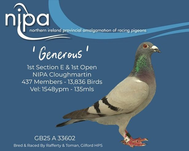 1st Open NIPA bird 21 08 25a