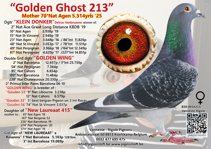 Golden Ghost 213 B20 4054213 KD Delrue 08 06 25a