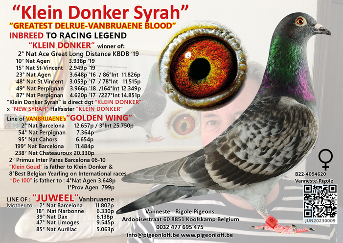 Klein Donker Syrah B22 4094620 hen 08 06 25a