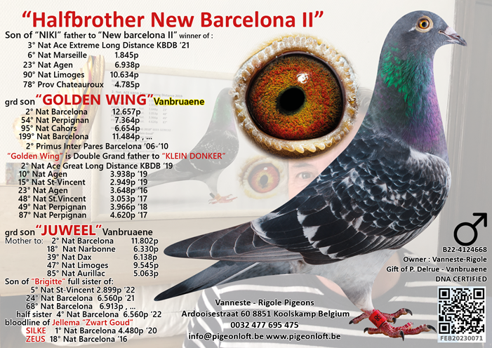 halfbrother New Barcelona II B22 4124668 08 06 25a
