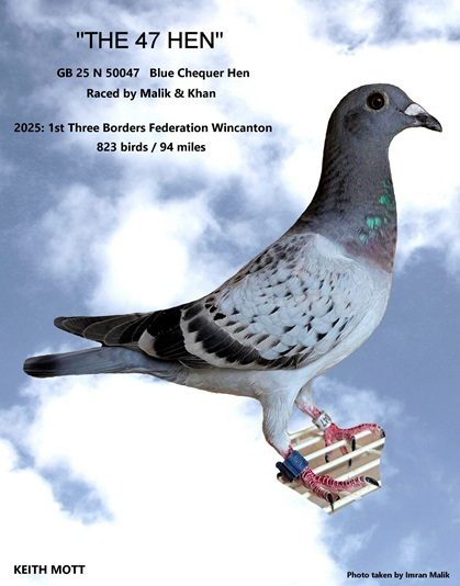 98B THE 47 HEN 04 09 25a