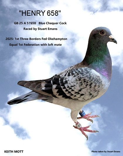 99C HENRY 658 26 09 25a
