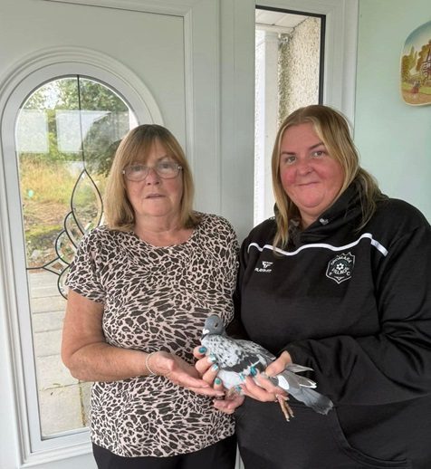 Fiona Stevenson and Julie Anne Donnelly with Bobbies Angel 1st N.I.P.A. Grenagh Open Winner from 4379 Birds 29 09 25c