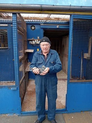 N J Arthurs Ballycarry District HPS Winner 04 09 25B