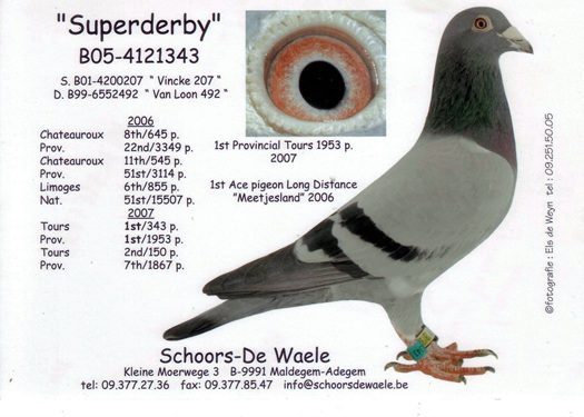 100D SUPERDERBY 02 10 25A