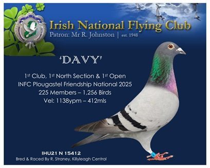 DAVY Straney 29 10 25