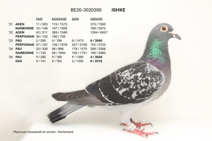Ishka 08 10 25a
